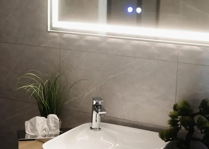 Hotel Riva Boutique Seghedin