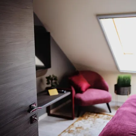 Hotel Riva Boutique Seghedin